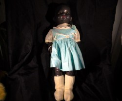 pedigree black 60_05